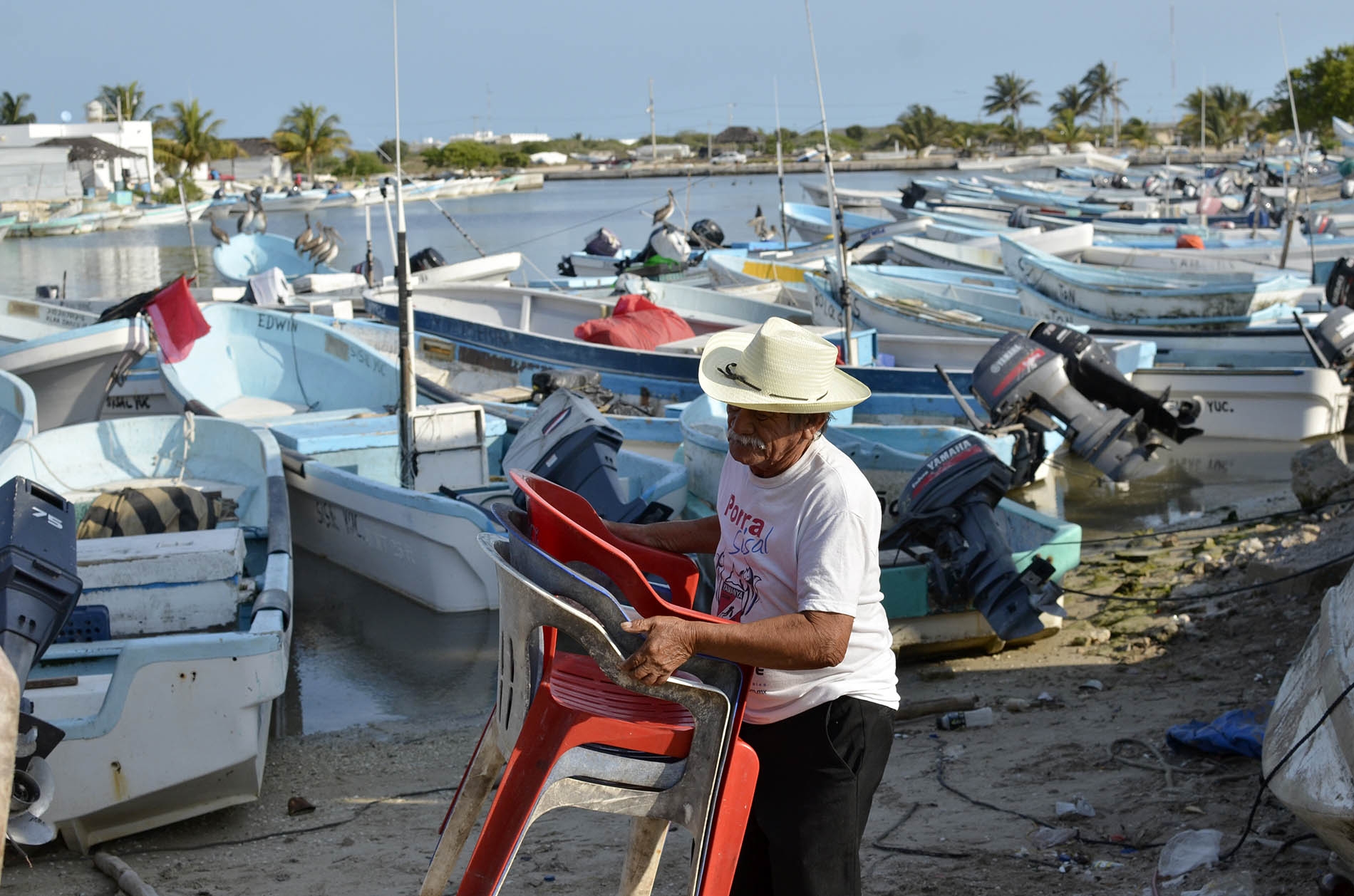 Efectos del meteorito